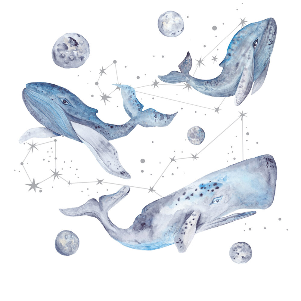 Carta da parati bambini Balene e costellazioni