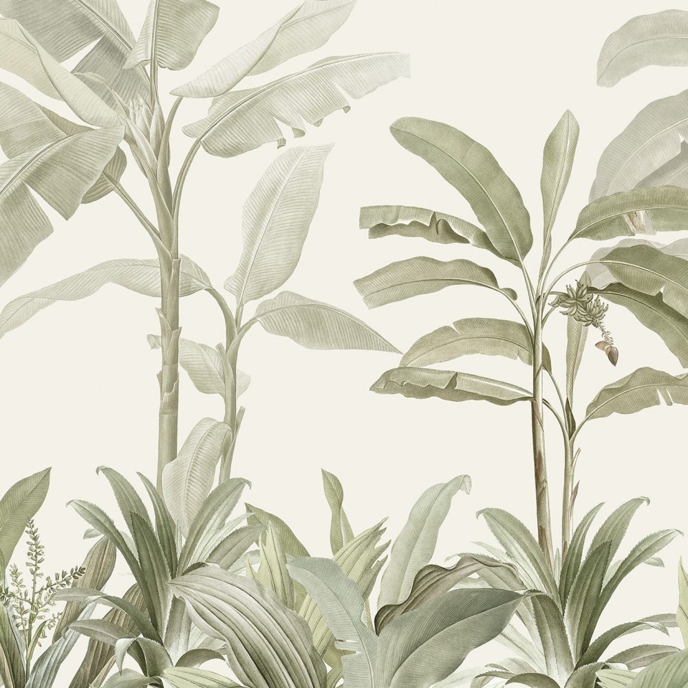 Carta da parati per bambini Giungla verde