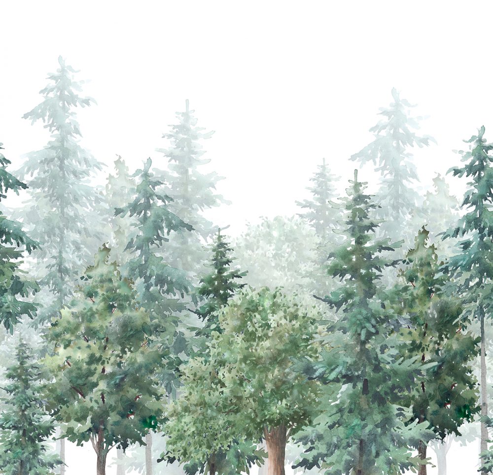 Carta da parati per bambini Foresta silenziosa