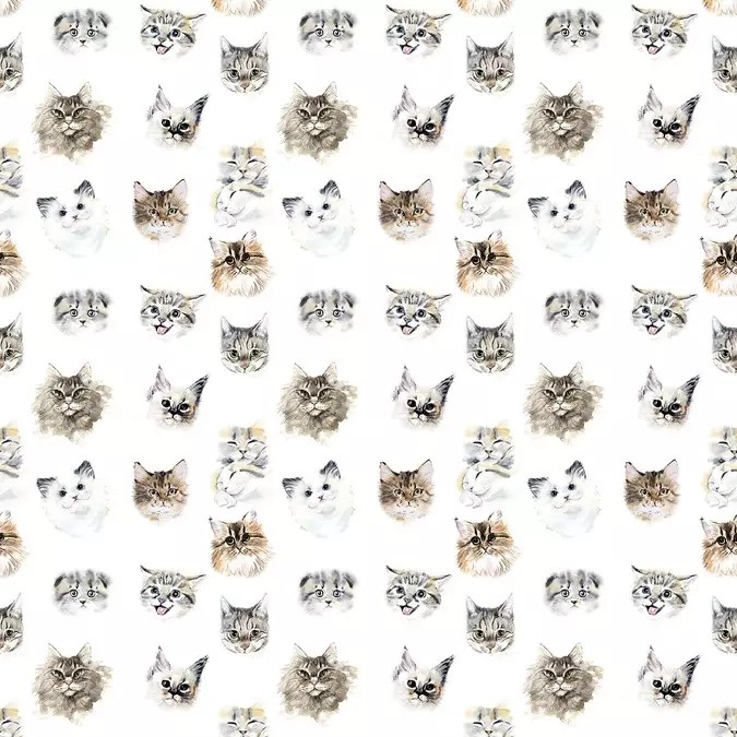 Carta da parati per bambini Gattini